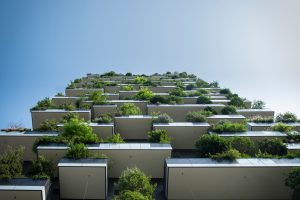 sustainable marketing campaign tips